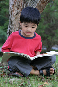 Young Asian Boy Reading